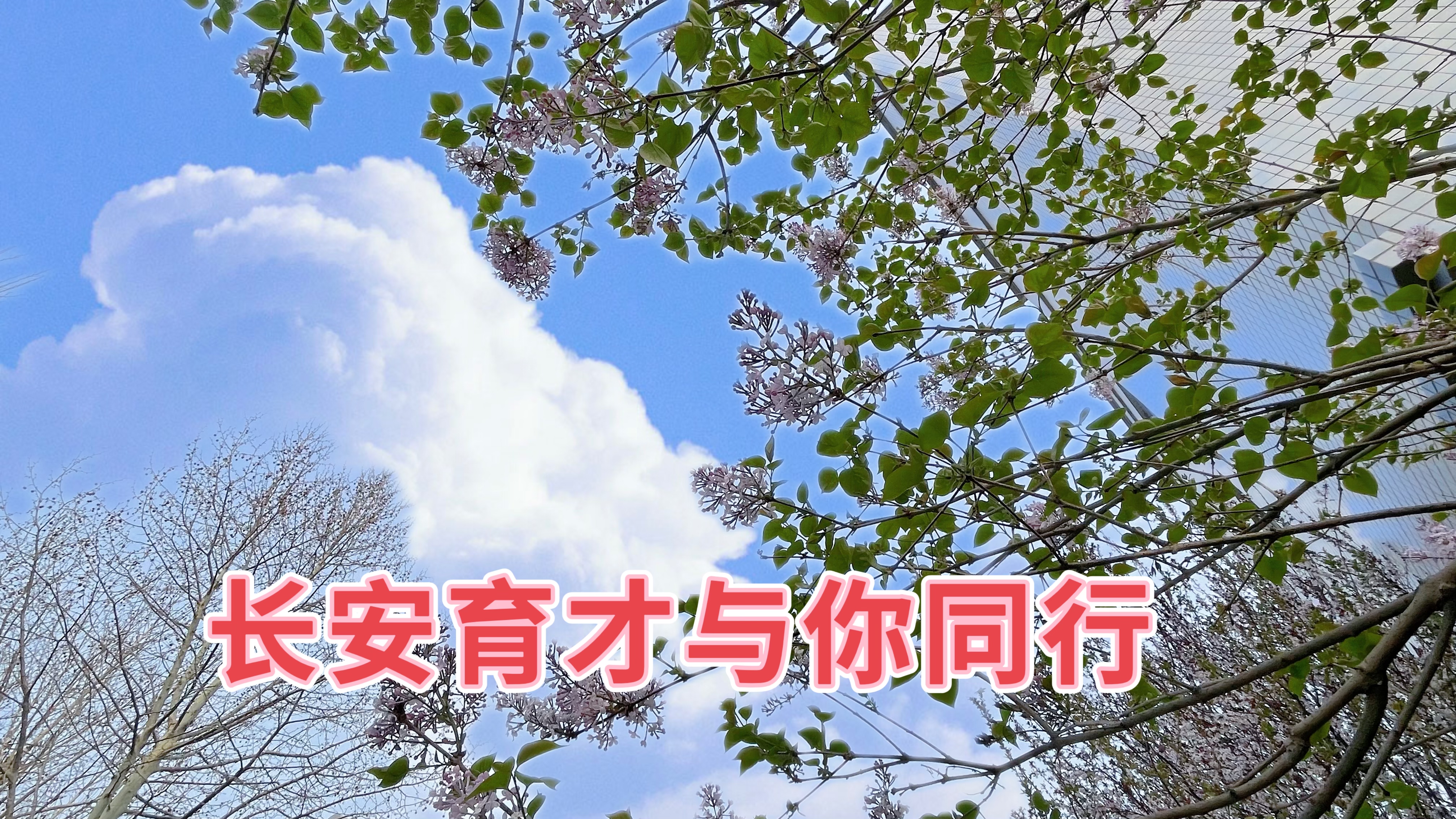春分‖春日好時光，攜手共同行